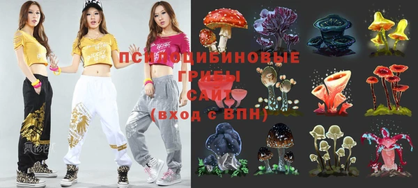 марихуана Новозыбков
